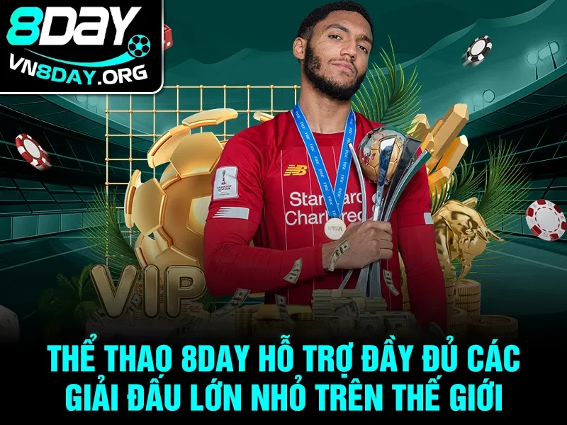 Thể thao 8day hỗ trợ đầy đủ các giải đấu lớn nhỏ trên thế giới